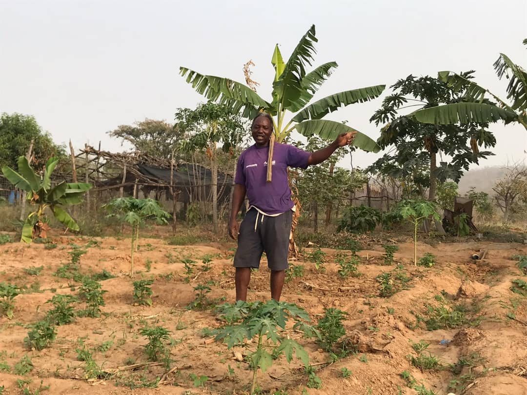 01f46b26-50fa-4885-b585-6148c13b928e