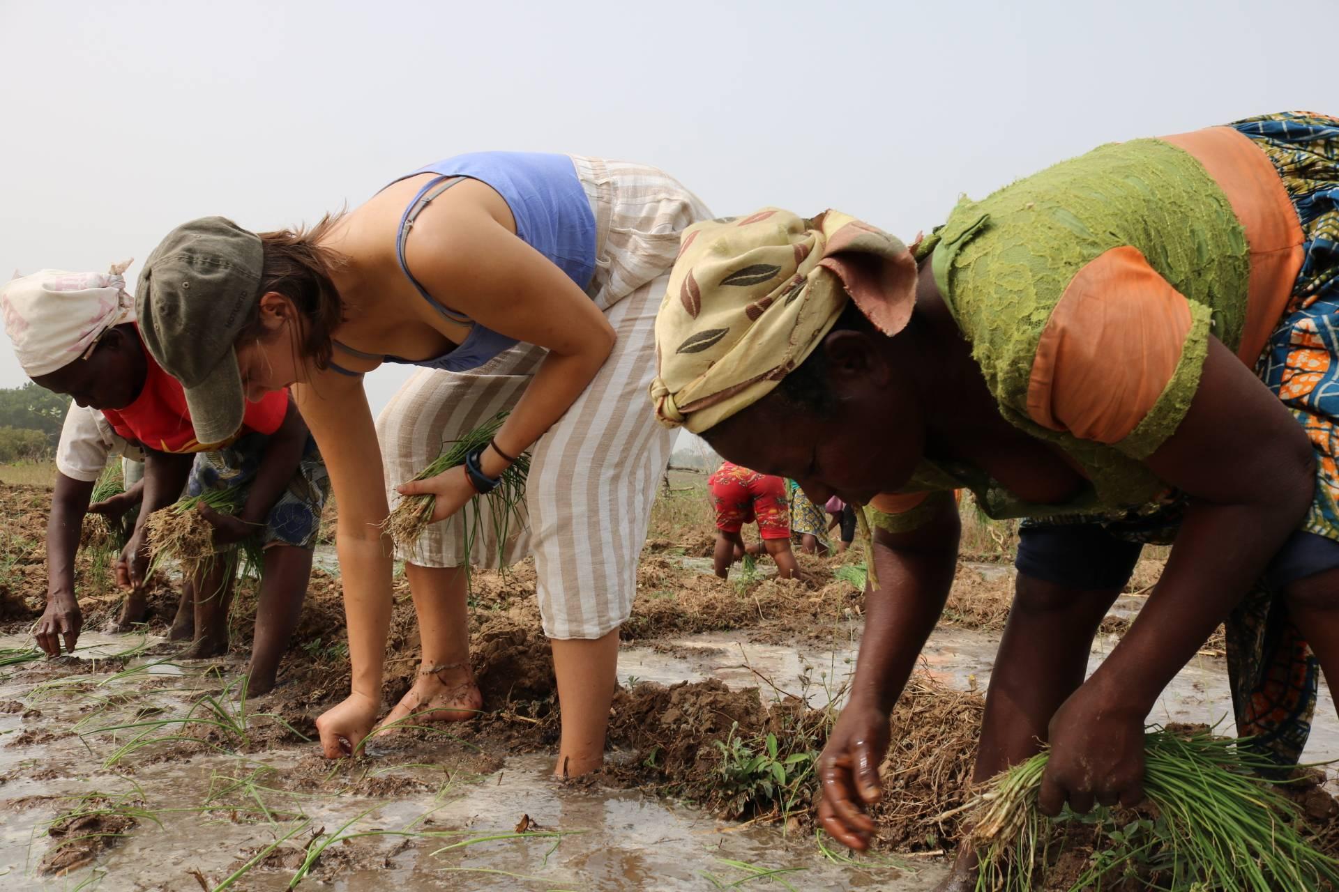 83202427_2643891029051883_8593168259992256512_n