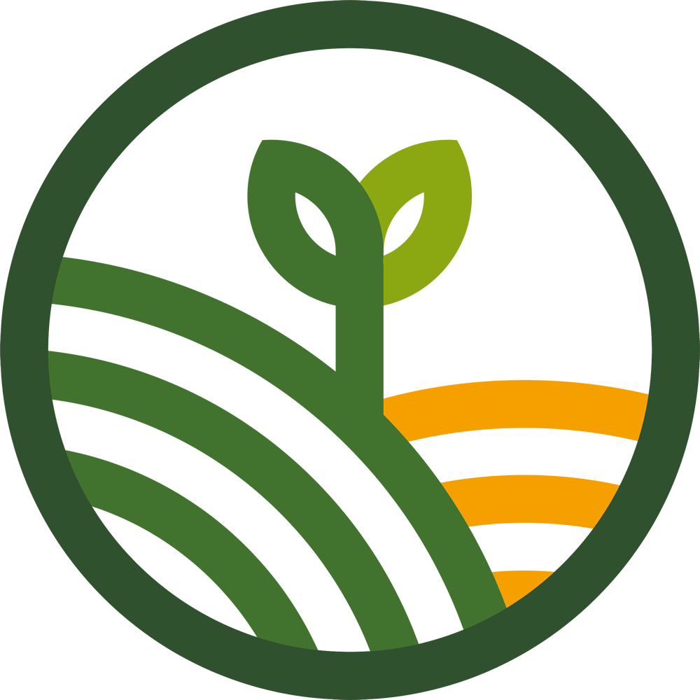 235407712_210256227776807_6817469849952785852_n